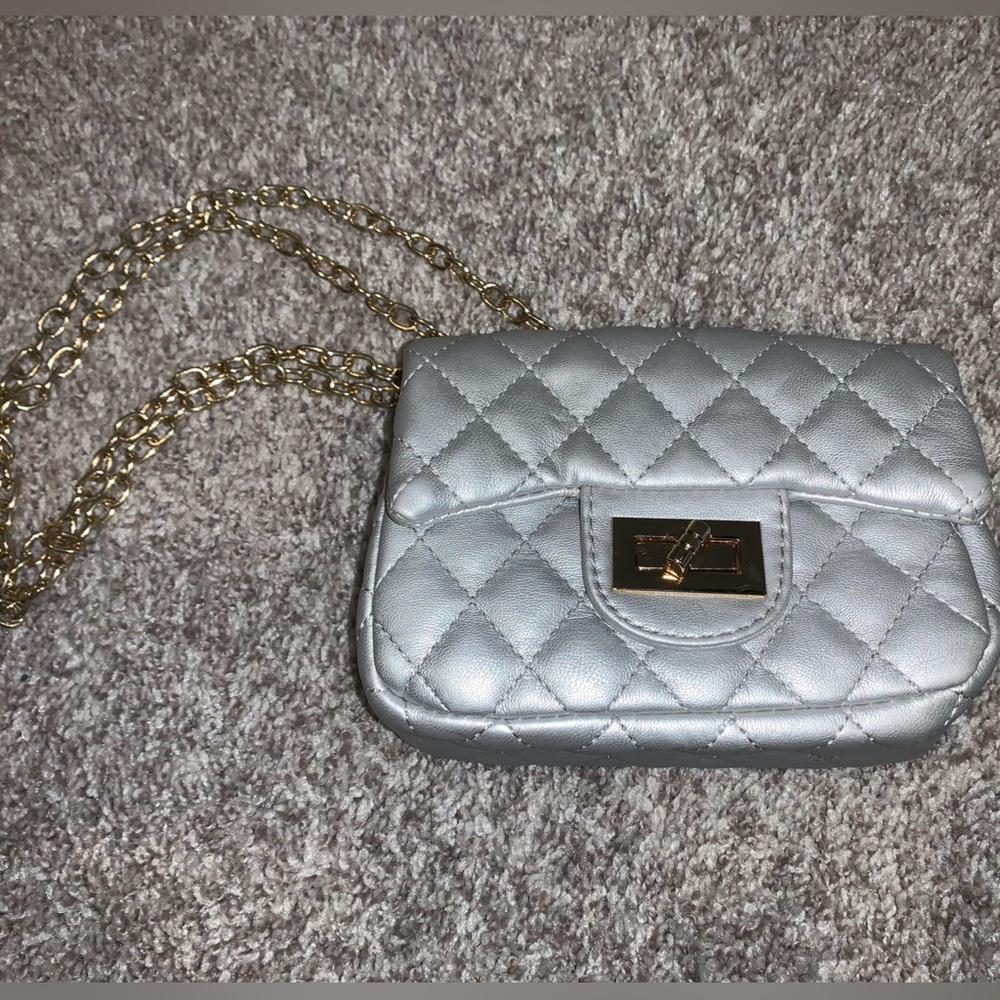 Silver clutch purse with gold strap